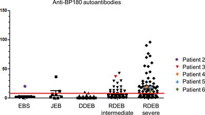 Occurrence of autoantibodies against skin proteins in patients with hereditary epidermolysis bullosa predisposes to development of autoimmune blistering disease